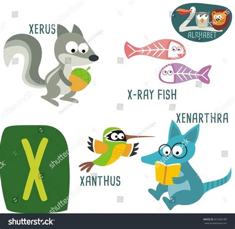 Jackal, jackrabbit, jaguar, jay, jellyfish. Cute Zoo alphabet in vector. X letter for Xanthus, Xenarthra, Xerus, X ...