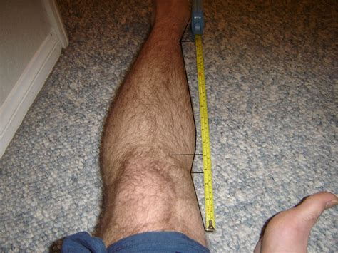 Where does the growth of length in a bone occur? The Quest for Height: Grow Taller | Increase Height | Bone ...