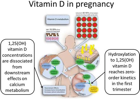 A clinical research center study. Vitamin D supplementation | Practical Neurology