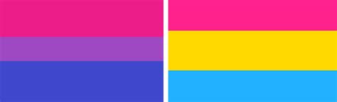 Bisexuality is most commonly understood as attraction, whether sexual, romantic or emotional, towards both males and females. Bisexual vs. Pansexual - Andrea Merodeadora - Medium