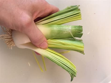 With amazonbasics microwave it's easier to defrost vegetables, make popcorn, cook potatoes, and reheat rice. How to Clean & Slice Leeks | Debbie's Food Smarts