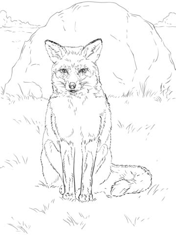 You can use our amazing online tool to color and edit the following fox coloring pages free printable. Red Fox Coloring Page at GetColorings.com | Free printable ...