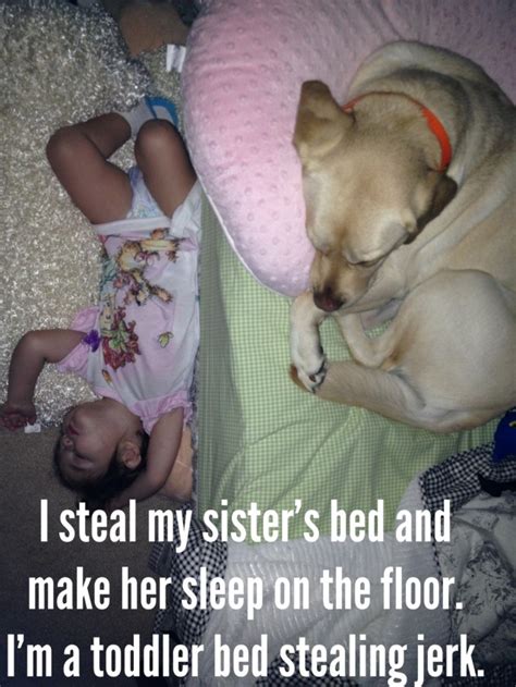 Do you need a boxspring? Toddlers don't need beds - Dogshaming