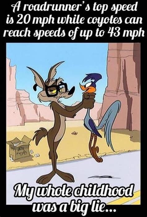 The roadrunner is also called the chaparral bird and the chaparral cock. Is a Coyote Faster than a Roadrunner? - Funny - Faxo