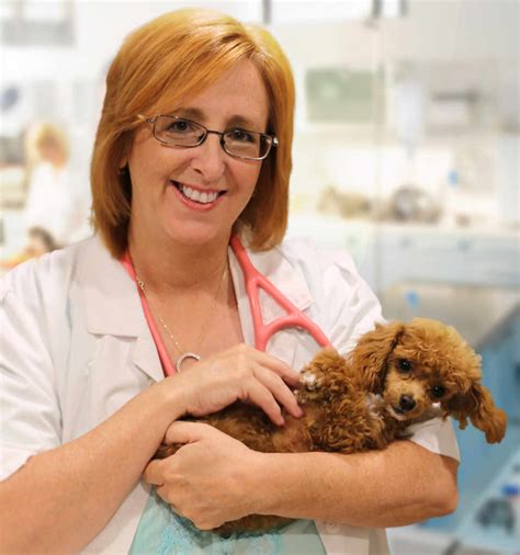 308 charleston hwy west columbia, sc. East West Veterinary Care Center introduces new overnight ...