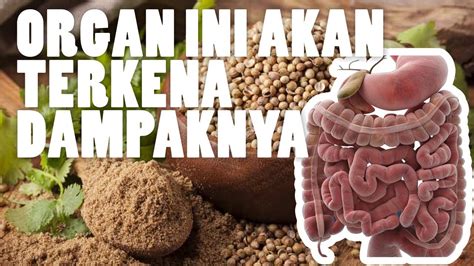 Ketahui khasiat ketumbar, cara pakai, dan efek samping biji ketumbar bagi kesehatan. Minuman Herbal Ketumbar - Bukan Sekadar Bumbu Dapur ...