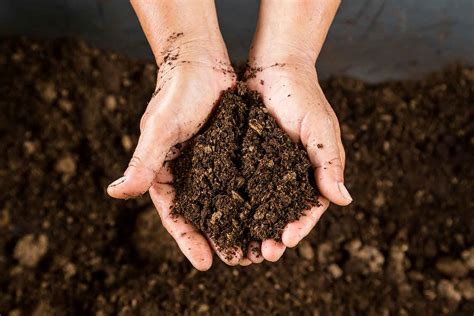 You planted grass seed recently, yet your brand new lawn area looks like it needs renovation. How to improve clay soil | Better Homes and Gardens