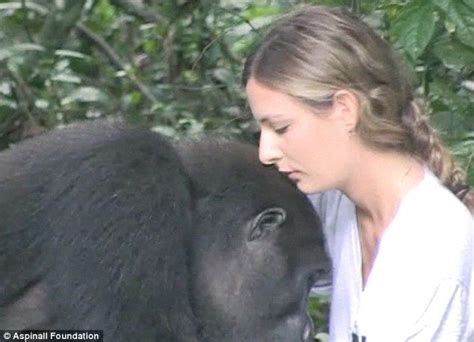 David aspinall lost nearly a litre of blood as he staggered to a neighbour for help photo: Is it you? After greeting Damian Aspinall, Djala rubs and ...