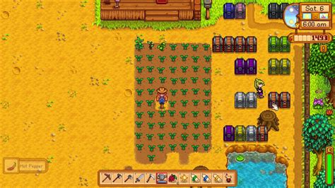 I recently divorced sam in stardew valley since i think abigail is just a way more of a cooler person. How to get a Hot Pepper - Stardew Valley - YouTube