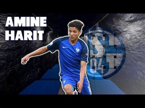 We did not find results for: AMINE HARIT | Welcome to Schalke - Amazing Skills, Tricks ...