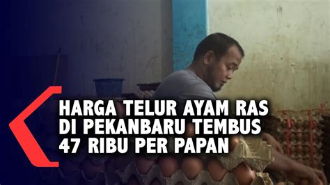 Saat harga telur ayam babak belur, harga pakan justru melonjak. Harga Telur Ayam Ras Di Pekanbaru Tembus 47 Ribu Per Papan ...