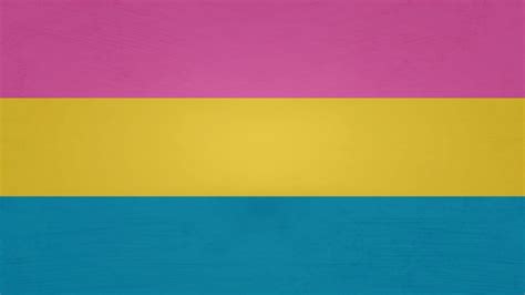 A collection of the top 51 pansexual wallpapers and backgrounds available for download for free. Pansexual Flag Wallpapers - Wallpaper Cave