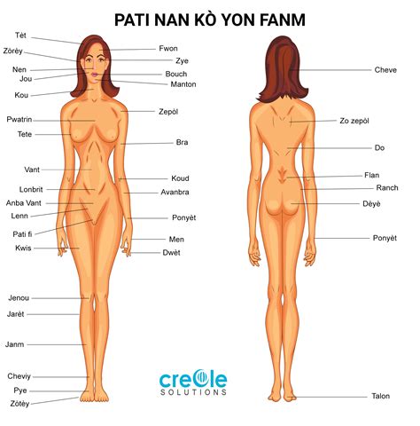 Human body woman posterior view. About - Medical Creole