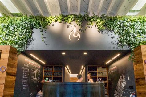 Maybe you would like to learn more about one of these? Modo Yoga Williamsburg - Greenery NYC | A Biophilic Design ...