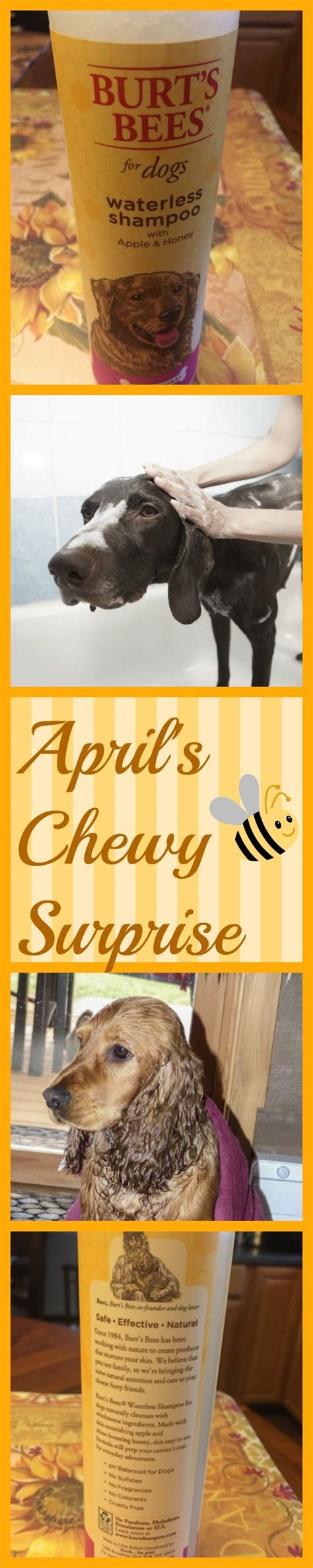 We did not find results for: For the month of April, Chewy sent us Burt Bees's ...