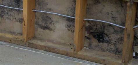 Contact us today to discuss your needs with an expert. Mold Testing & Investigation Katy TX - (713) 904-1201 Mold ...