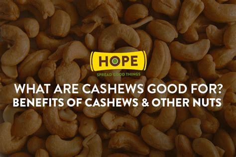 10.cashew nuts are good for skin health. Benefits of Cashews & Other Nuts: What are Cashews Good For?