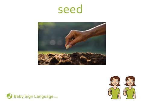 Printer paper, junk mail, and construction paper are great. Seed