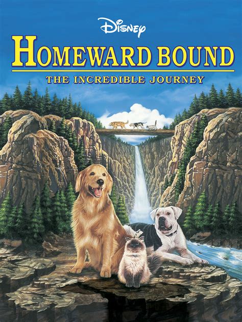 The movieclips channel is the largest collection of licensed movie clips on the web. Homeward Bound: The Incredible Journey Movie Trailer ...