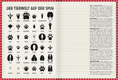 Kopiervorlage / arbeitsblatt, um die sprachliche handlung nutzt jetzt unsere kostenlosen. Infografik | Tierspuren für Lily Lux Notizbuch - Iris Luckhaus | Illustration & Design