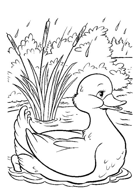 Apprendre à dessiner un canard en quelques étapes simples. Nos jeux de coloriage Canard à imprimer gratuit - Page 3 of 11