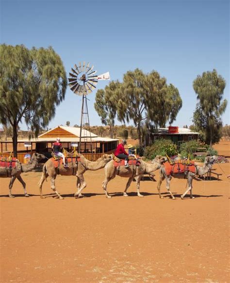 While experiencing the camel or horse ride, you will enjoy the fascinating view of the pyramids of cheops, chephren and mykerinus from outside. Camel Express | Ayers Rock Resort