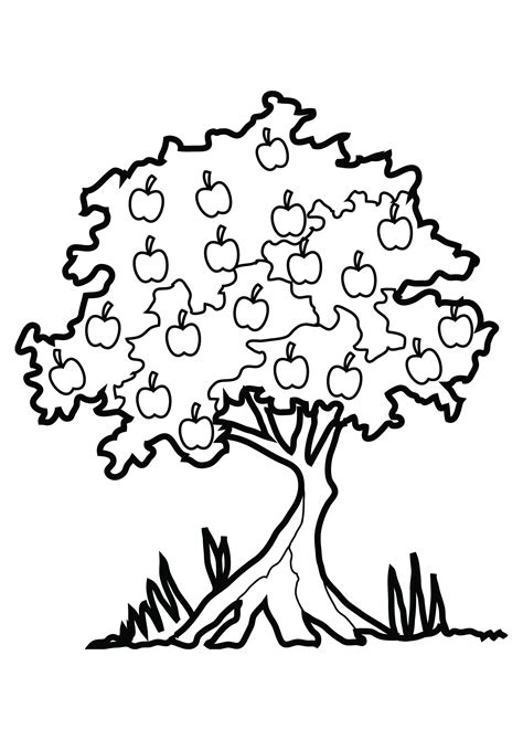 Lulav and etrog coloring page stock vector click the lulav and etrog 52kb 1526x2046: Lulav And Etrog Coloring Pages at GetColorings.com | Free ...