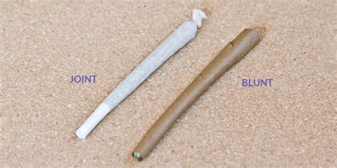 If you plan to carry your papers around with you, get a rolling paper protector. How to Roll a Blunt | 6-Step Visual Guide - Key to Cannabis