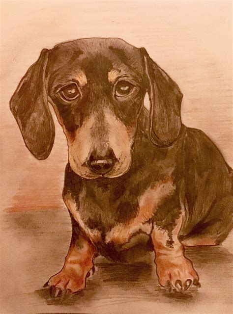 Pm me a photo of your pet & i will immortalise them in a. Custom pet portraits to order | Pet portraits, Dog ...