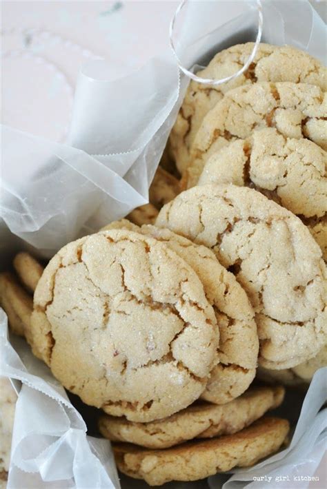 Put this apple cider recipe in the slow cooker in the morning and have it ready for a cozy night around the fireplace with the family. Appledoodles (Apple Cider Cookies) - Curly Girl Kitchen ...