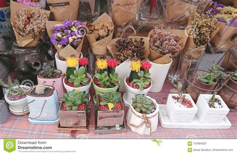 Set these florals on the front porch of a dollhouse to let them get a little sunshine, or keep them on a tiny windowsill to brighten up the interior. Cactus Pots And Dried Flower Bouquets On Table At A Flower ...