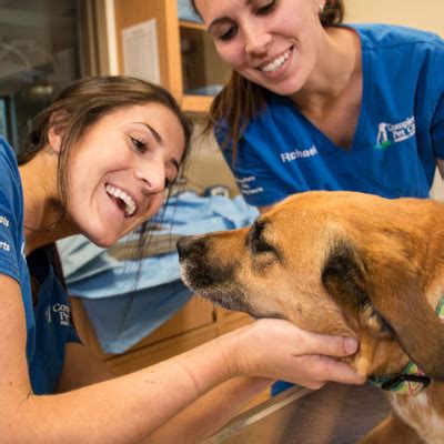 Your neighborhood veterinary hospital, serving new tampa, florida on cross creek blvd. The 10 Best Dog Groomers Near Me (with Prices & Reviews)