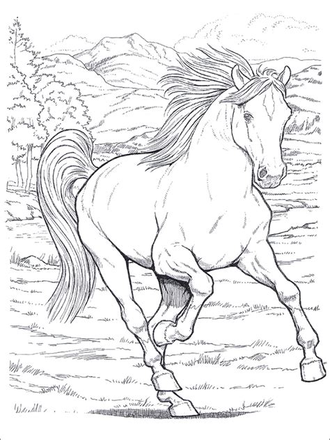 Disegni difficilissimi a matita / 90 disegni a matita fra i più belli e sorprendenti con. cavallo_2 disegni da colorare per adulti