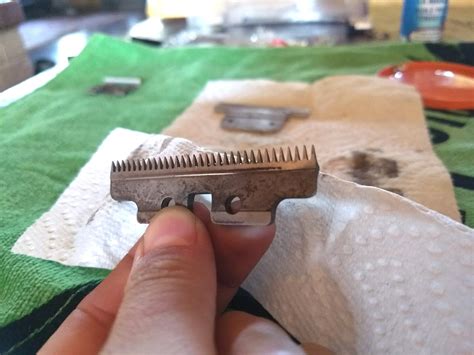 Chisel grinds are usually very easy to sharpen since there is only one bevel to worry about. diy: sharpen your own clipper blades | Dog grooming ...
