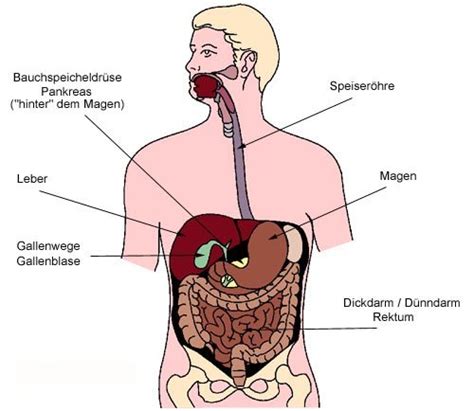 We did not find results for: Organe ; Electric Organs; Organ, Electric; Organs, Electric