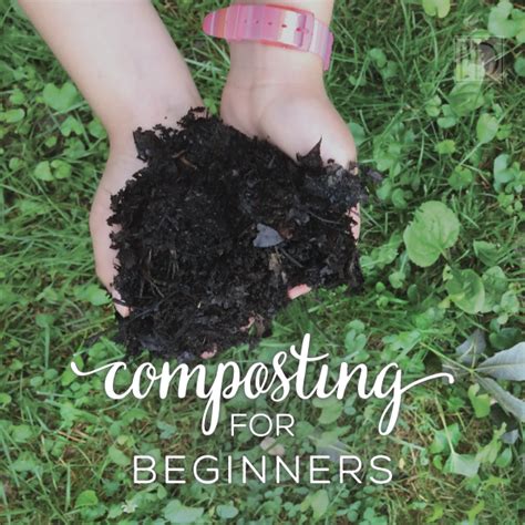 I researched and read everything i could find about pest control. Composting for Beginners | Compost, Compost soil, Pest control