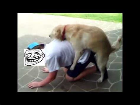 We did not find results for: Trollface Gets Humped By Dog - YouTube