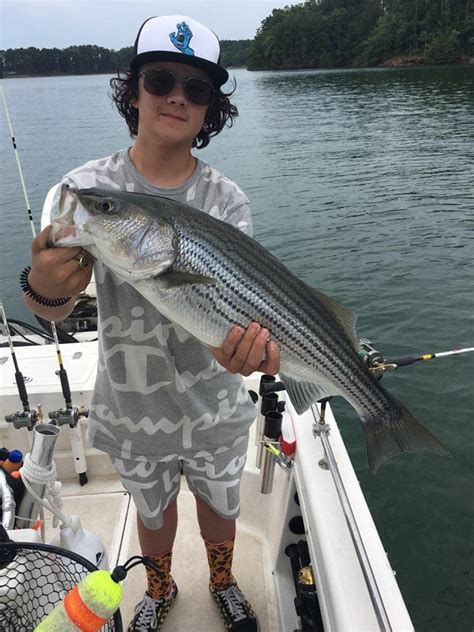 Come experience a guided lake lanier guided fishing trip or lake burton fishing charter. July 2019 Lake Lanier Striper Fishing Report - The Striper ...