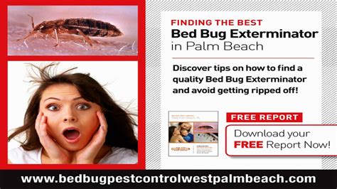 West palm beach is home to sun, sand, and beaches as far as the eye can see — plus pesky our home pest control services also include local pests to florida, including mosquitoes and other after the treatment is completed, your orkin technicians will craft a continuous termite protection plan. Pest Control and Bed Bug Removal West Palm Beach Boca ...