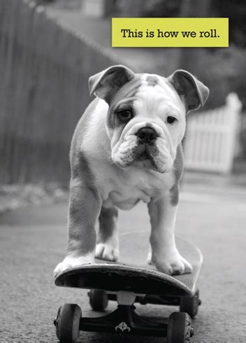 Apr 06, 2020 · yes, english bulldogs are among the rare dogs that can ride a skateboard with some training. Inside: Happy Birthday, Yo. SKATEBOARD CARD | Bulldog ...