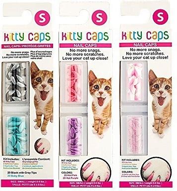 Maybe you would like to learn more about one of these? Best Nail Caps for Cats 2020 - Reviews & Top Picks ...