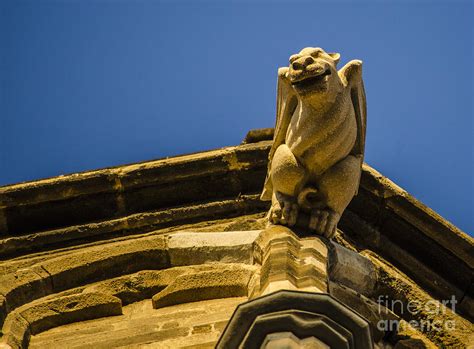 At the stunning cathedral of barcelona, there is a fountain in the pond in the cloister serving as home to 13 geese. Winged Gargoyle Photograph by Deborah Smolinske