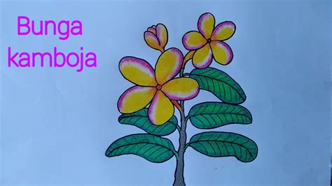Cara menggambar bunga mawar yang bagus menggambar dan mewarnai. Contoh Gambar Cara Mewarnai Bunga Kamboja Dengan Crayon ...