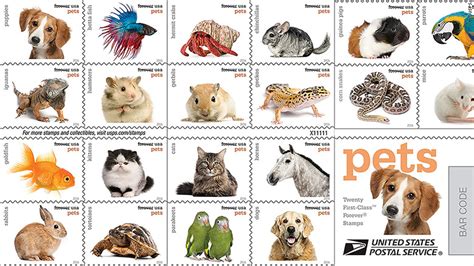 Pricing is based on factors like age and breed. Stamp prices set to go down two cents in April