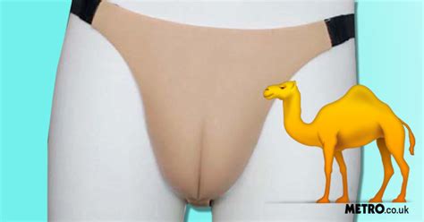 Here you can calculate how many camels your girlfriend or boyfriend is worth. New trend is camel toe underwear - Grabey