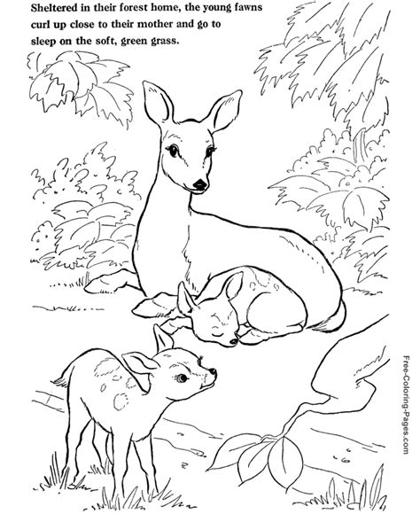 Perfect for a mother's day gift or teacher gift!i recently tried my hand at embroidery! Animal coloring pages - Deer coloring page