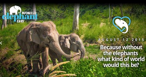 Kini dengan banyaknya penduduk di bumi, dengan tingkat kemampuan hidupnya yang berbeda, manusia. Hari Gajah Sedunia (World Elephant Day) - AlamBlogr