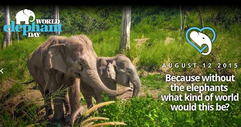 Sempena hari habitat sedunia hari ini. Hari Gajah Sedunia (World Elephant Day) - AlamBlogr