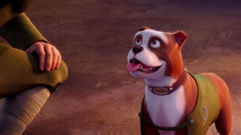 Stubby is still recognized as the most decorated dog in american history. Sgt Stubby: An Unlikely Hero | Movies For Kids