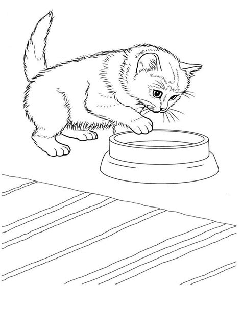 There are more than 500 million domestic cats in the world, with approximately 40 recognized breeds. Cute Kitten Coloring Pages PDF - Free Coloring Sheets ...